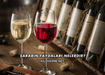 Şarabın Faydaları Nelerdir?