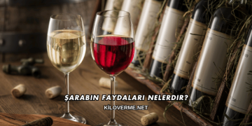Şarabın Faydaları Nelerdir?