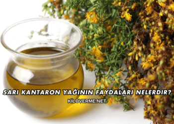 Sarı Kantaron Yağının Faydaları Nelerdir?