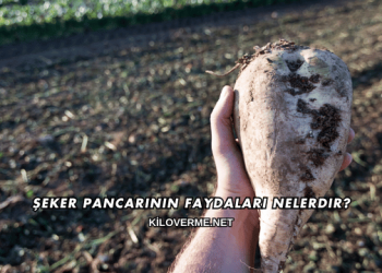 Şeker Pancarının Faydaları Nelerdir?