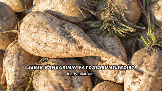 Şeker Pancarının Faydaları Nelerdir?