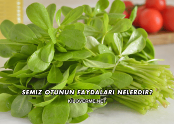 Semiz Otunun Faydaları Nelerdir?