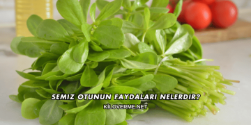 Semiz Otunun Faydaları Nelerdir?