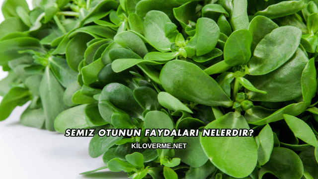 Semiz Otunun Faydaları Nelerdir?