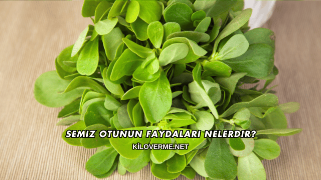 Semiz Otunun Faydaları Nelerdir?
