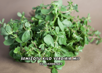 Semizotu Kilo Verdirir mi?