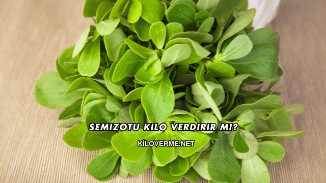 Semizotu Kilo Verdirir mi?