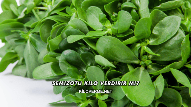 Semizotu Kilo Verdirir mi?
