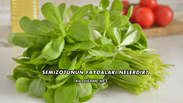 Semizotunun Faydaları Nelerdir?