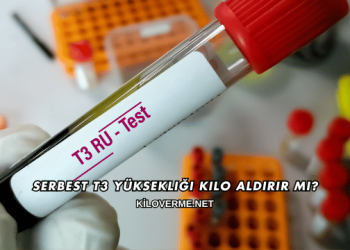 Serbest T3 Yüksekliği Kilo Aldırır mı?