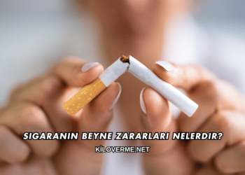 Sigaranın Beyne Zararları Nelerdir?