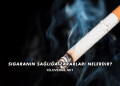 Sigaranın Sağlığa Zararları Nelerdir?