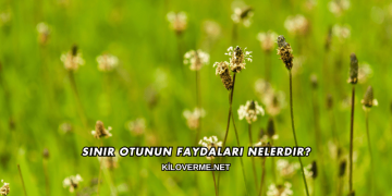 Sinir Otunun Faydaları Nelerdir?