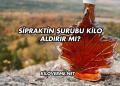 Sipraktin Şurubu Kilo Aldırır mı?