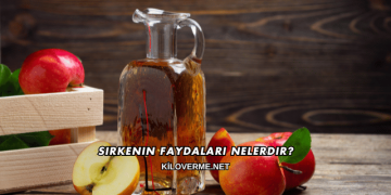 Sirkenin Faydaları Nelerdir?