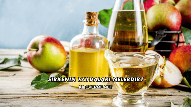 Sirkenin Faydaları Nelerdir?