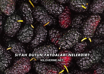 Siyah Dutun Faydaları Nelerdir?
