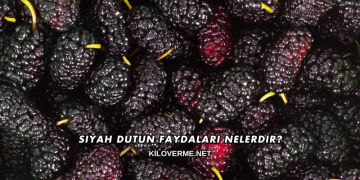 Siyah Dutun Faydaları Nelerdir?