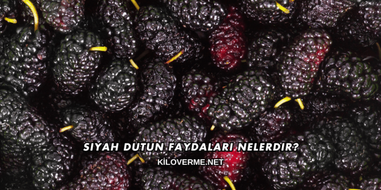 Siyah Dutun Faydaları Nelerdir?