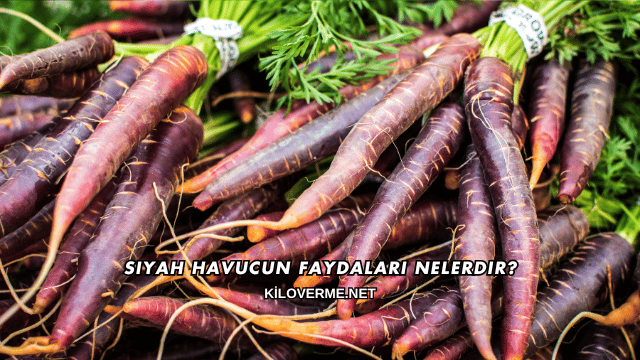 Siyah Havucun Faydaları Nelerdir?