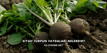 Siyah Turpun Faydaları Nelerdir?