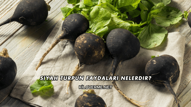Siyah Turpun Faydaları Nelerdir?