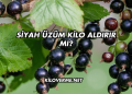 Siyah Üzüm Kilo Aldırır mı?
