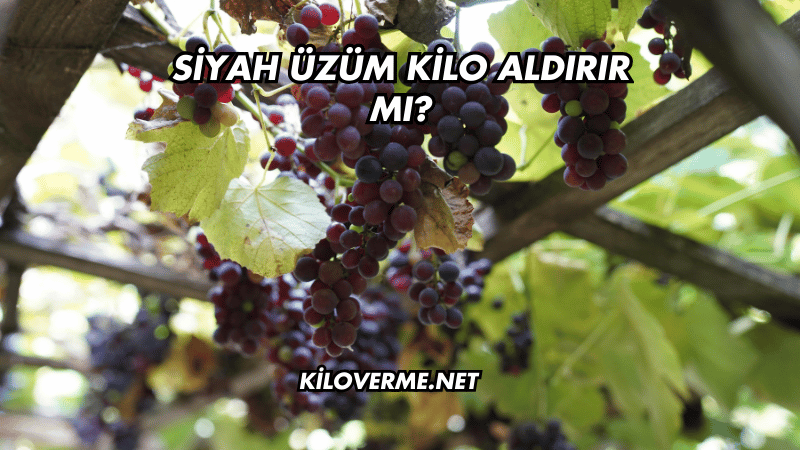 Siyah Üzüm Kilo Aldırır mı?