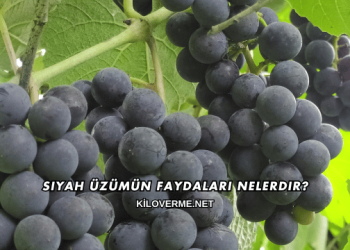 Siyah Üzümün Faydaları Nelerdir?