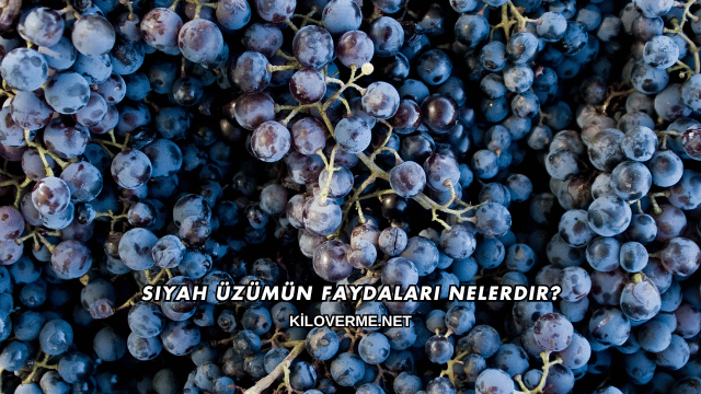 Siyah Üzümün Faydaları Nelerdir?