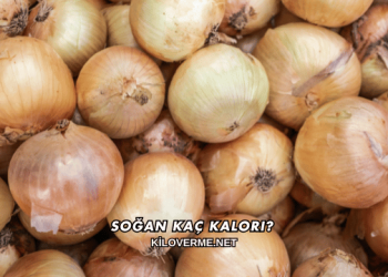 Soğan Kaç Kalori?