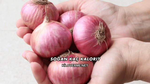Soğan Kaç Kalori?
