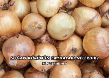 Soğan Kürünün Faydaları Nelerdir?