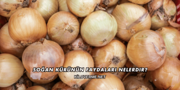Soğan Kürünün Faydaları Nelerdir?