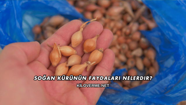Soğan Kürünün Faydaları Nelerdir?