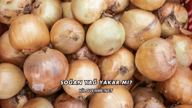 Soğan Yağ Yakar mı?