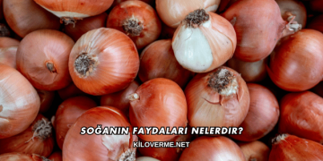 Soğanın Faydaları Nelerdir?