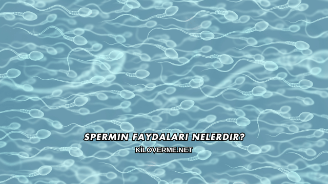 Spermin Faydaları Nelerdir?