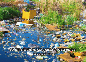 Su Kirliliğinin Zararları Nelerdir?