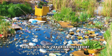 Su Kirliliğinin Zararları Nelerdir?