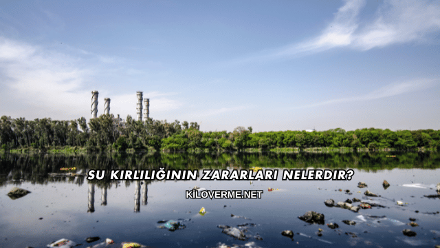 Su Kirliliğinin Zararları Nelerdir?