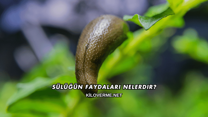 Sülüğün Faydaları Nelerdir?