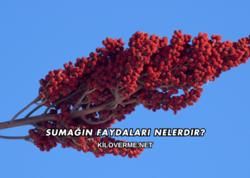 Sumağın Faydaları Nelerdir?