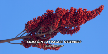Sumağın Faydaları Nelerdir?