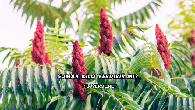 Sumak Kilo Verdirir mi?
