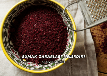 Sumak Zararları Nelerdir?