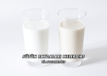 Sütün Faydaları Nelerdir?