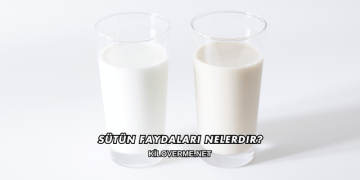 Sütün Faydaları Nelerdir?