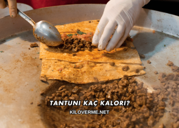 Tantuni Kaç Kalori?