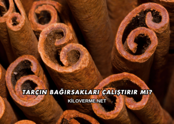Tarçın Bağırsakları Çalıştırır mı?